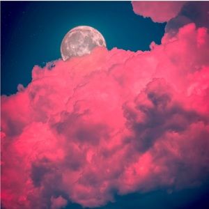 Meet your Posher, Latoya